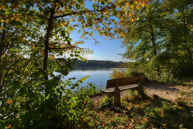 观众的情绪 观众的情绪