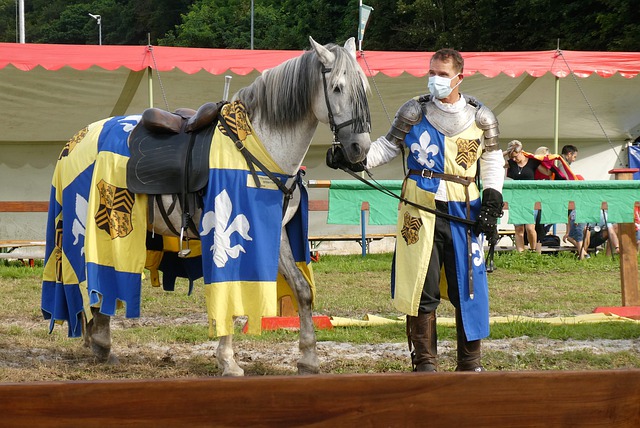 并在训练中 并在训练中