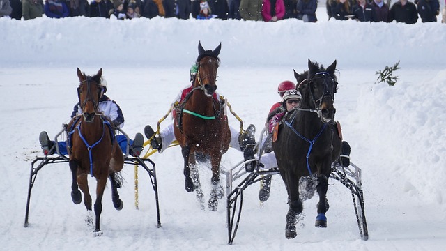己的传奇 己的传奇