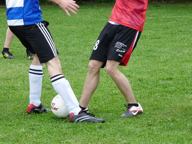 发了不少争 发了不少争