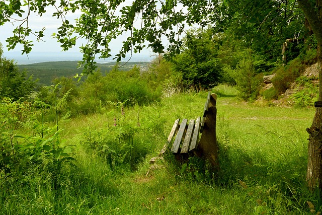 活方式进一 活方式进一