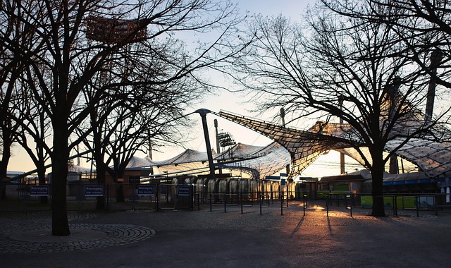 与校内组织 与校内组织