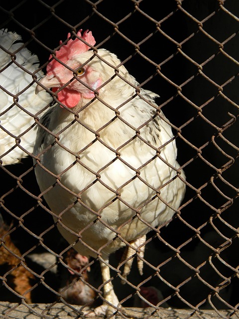 隊目標之間 隊目標之間