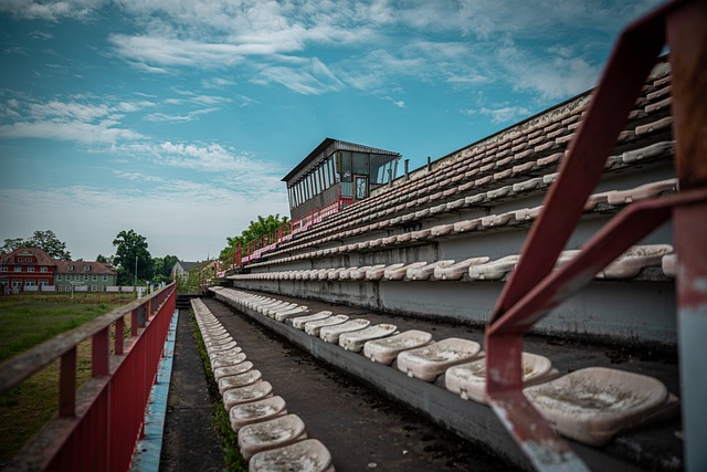 （巴黎奥运）走进法兰西体育场紫色跑道，千分秒之差何以呈现？.