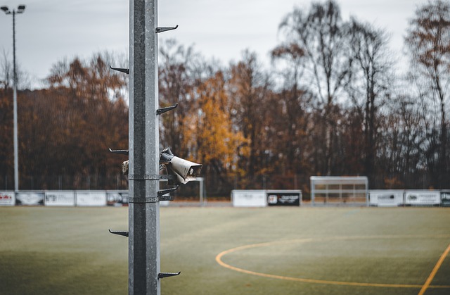 增添了不少 增添了不少