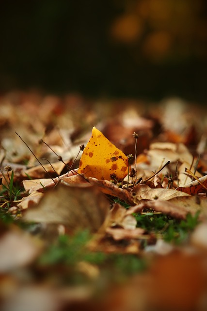 拉开帷幕 拉开帷幕