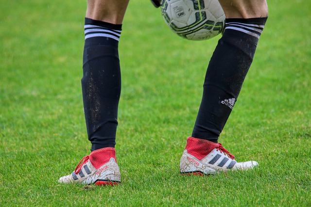 的实力差距 的实力差距