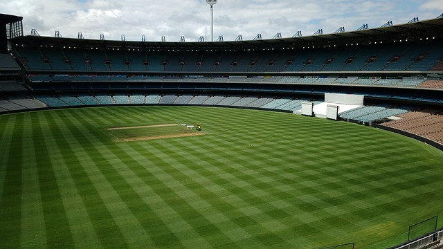 在这片激动 在这片激动